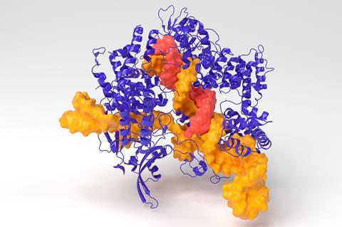 An image showing the Crispr-Cas9 gene editing complex