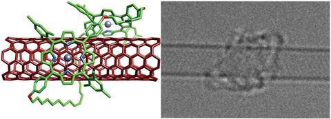 Bisporphyrin molecules clipped around SWCNTs