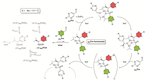 Scheme of the kinetics-based autocatalytic model of the Trapp proposal.36 For simplicity, the autocatalytic cycle of the (R)-enantiomer has been omitted. The tBuPmII alkoxide first reacts (slowly) with the tBuPm aldehyde to form a hemiacetal, which catalyses the reaction between tBuPm + ZniPr2 and the formation of a 2nd hemiacetal moiety at a much higher rate. The first tBuPmII-enantiomer to initiate this cycle determines the sign of the overall produced product.
