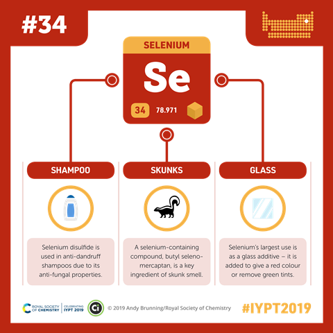 Selenium infographic