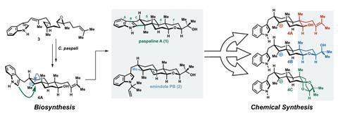 Computationally guided retrosynthesis. 