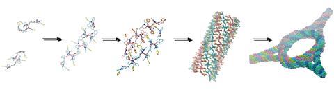 Self-assembly of bis-salphen compounds: from semiflexible chains to webs of nanorings