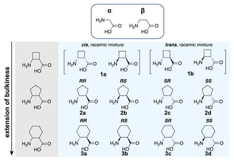 An image showing the three cyclic β-2,3-amino acid derivatives that have been tested