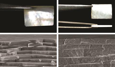 Synthetic nacre, figures 2a-d without scale bars