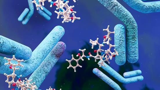 An illustration showing antibody-drug conjugates