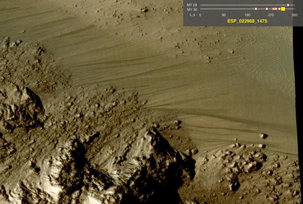 The perchlorate Martian mystery | Feature | Chemistry World