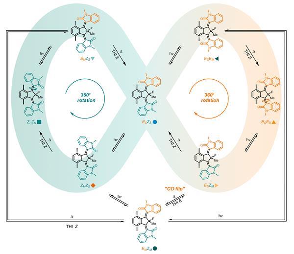 First example of communication in coupled molecular motors | Research ...