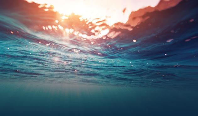 Plastic problems | Feature | Chemistry World