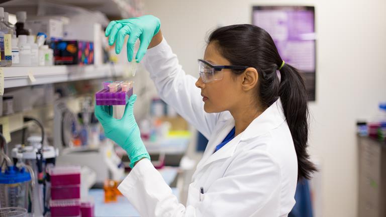 US Universities Told To Sort Out Postdoc Job Titles Chaos News 