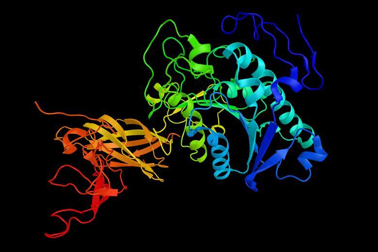 Chemistry news, research and opinions | Chemistry World