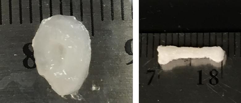 Microgel supports 3D printing technique that builds organs out of stem ...