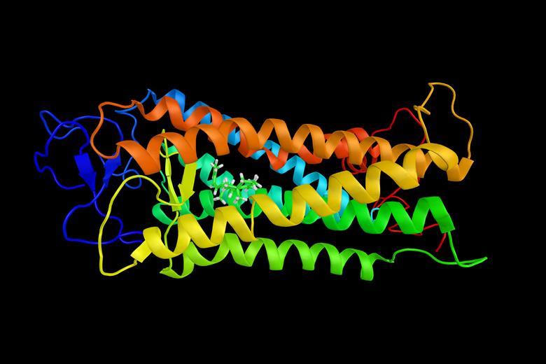 Opsyn Opsins | Podcast | Chemistry World