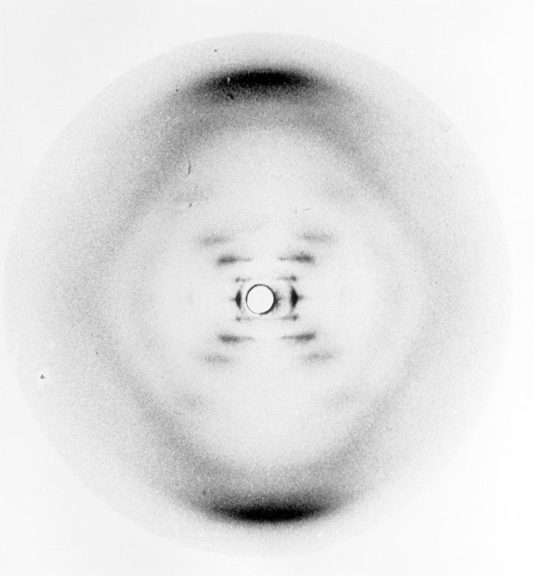 Overlooked documents shed new light on double helix discovery | News ...