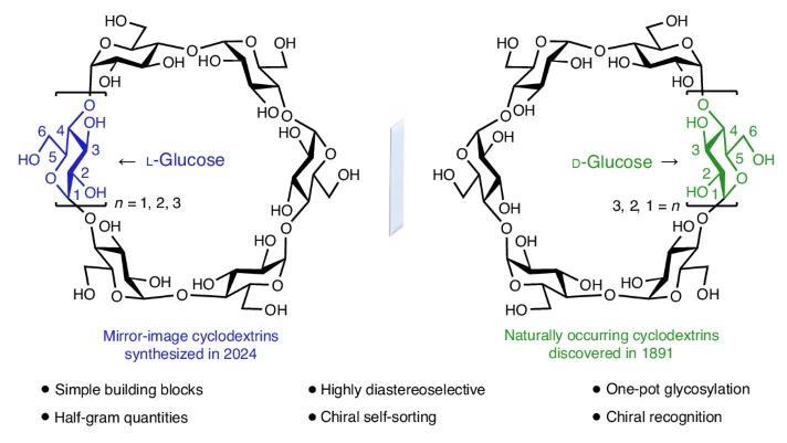 First mirror-image cyclodextrins come together ‘like Lego’ | Research ...