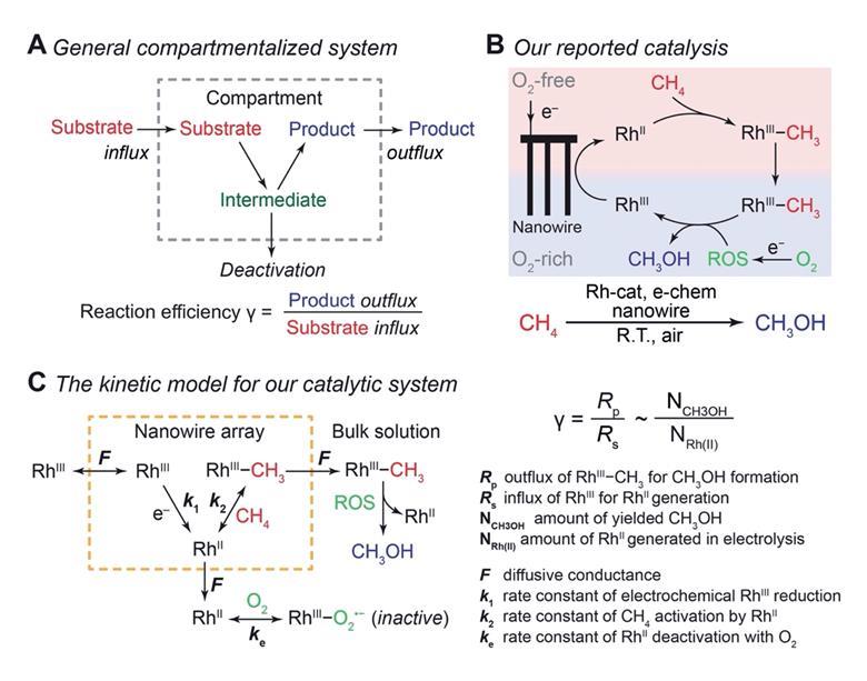 Segregation strategy for methane conversion enables new chemical ...