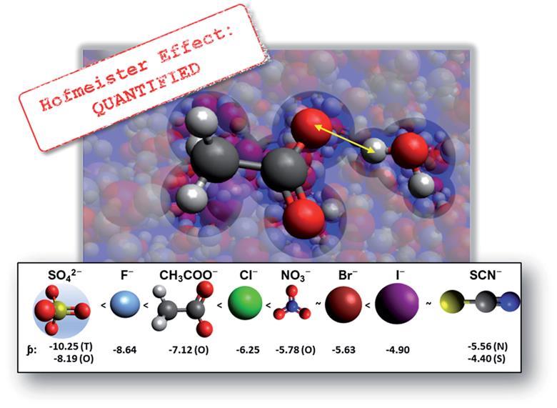 Electrostatic origins of specific ion effects revealed | Research ...