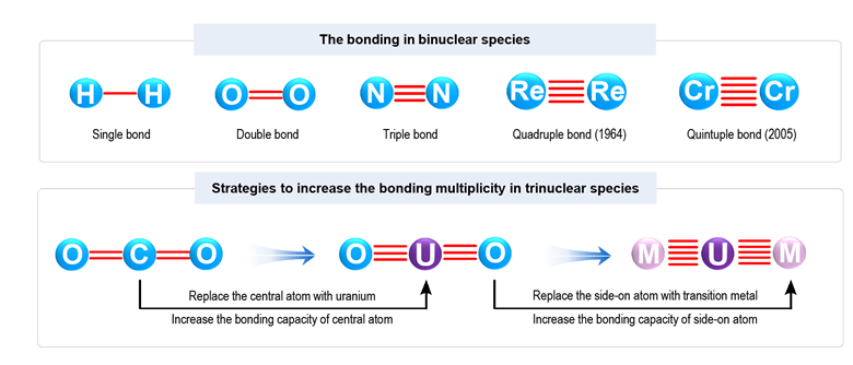 Record-breaking uranium–cobalt complex achieves 10 cumulative metal ...