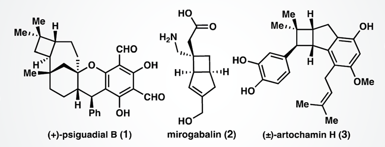 Flexible route to enantiomerically enriched cyclobutanes | Research ...