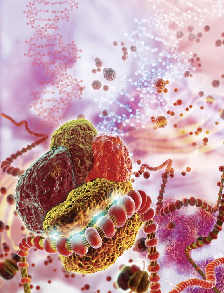 Breaking the silence of RNA interference drugs | Business | Chemistry World