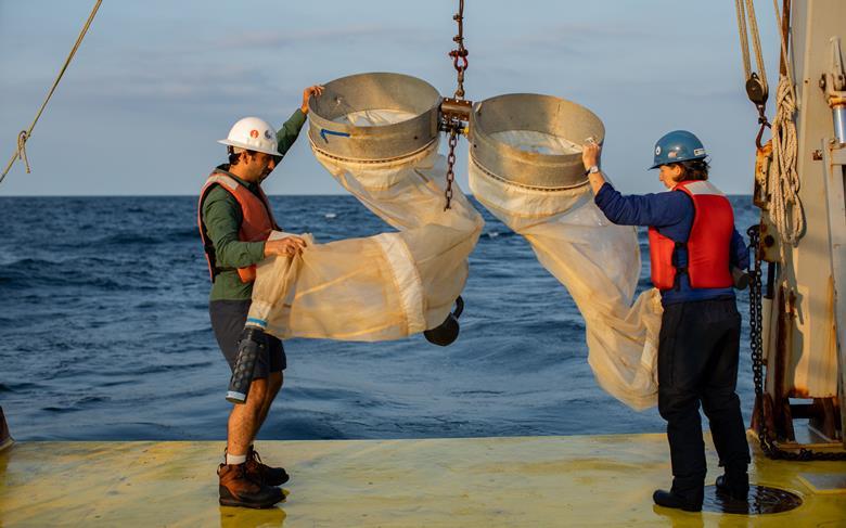 Plankton net tows were used to sample microscopic life in a study area