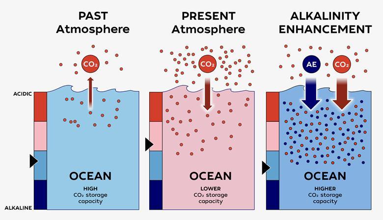 The Loc-ness Project
