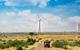 Red truck on rural Indian road with wind turbines in grassy landscape