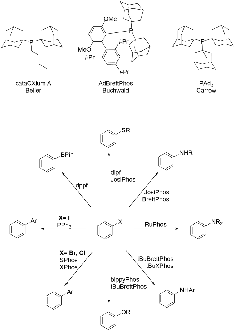 Nextgeneration ligands for complex coupling challenges Sponsored