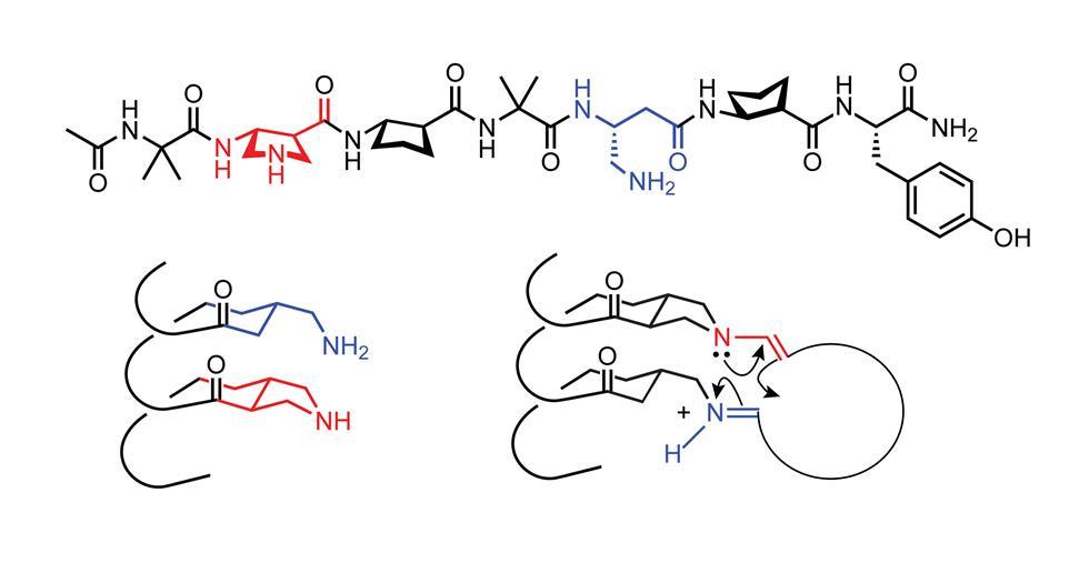 The function of folding Feature Chemistry World