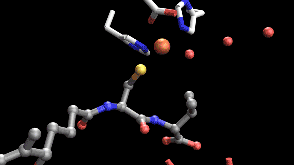 Molecular movie