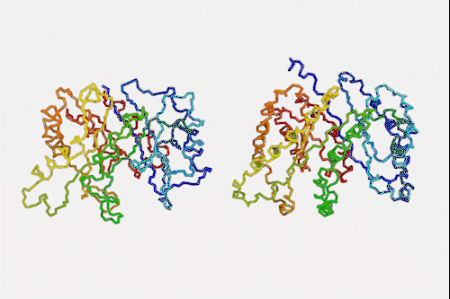 How a neural network can help to solve biochemistry issues by allowing protein prediction