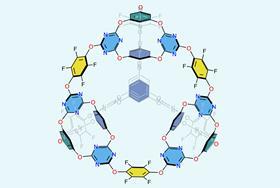 Porous organic ‘cage of cages’ crystalline structure predicted by computational modelling