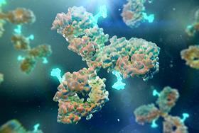 Pan-cancer approval shows huge potential for antibody–drug conjugates