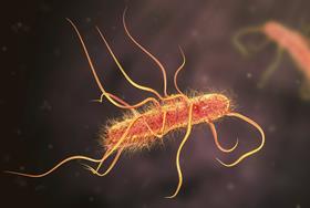 Revived claims that antibiotics don’t kill bacteria with reactive oxygen prove controversial