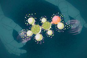 Integrating computational and experimental approaches in India