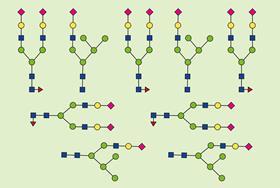 Exquisite stereochemical control will allow creation of millions of unique polymers