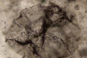 Chemistry and AI pushes biosignature detection for life back billions of years.