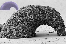 Mixed-material microrobots created from 3D-printed templates