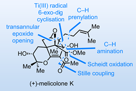 (+)-Melicolone K