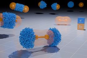 Unexpected stability theorised in positron-bound beryllium dimers