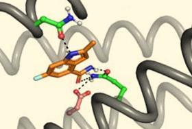 Algorithm designs proteins from scratch that can bind drugs and small molecules