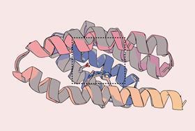 Protein design takes big leap forward as model produces enzymes almost as effective as nature’s