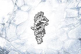 Self-synthesising RNA strand offers clues to life’s origins