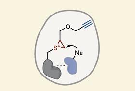 Thianthrenium reagent captures elusive protein interactions in living cells