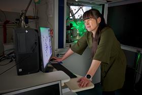 Shedding light on how photoactive crystals respond in real time