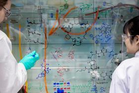 The future of total synthesis