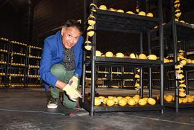 Record-breaking chemistry experiments: from giant crystals to lemon batteries