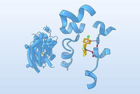 AI tool dramatically reduces computing power needed to find protein-binding molecules