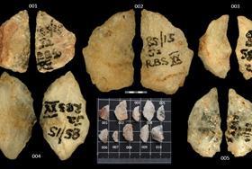 Prehistoric humans hunted with poisoned arrows thousands of years earlier than thought